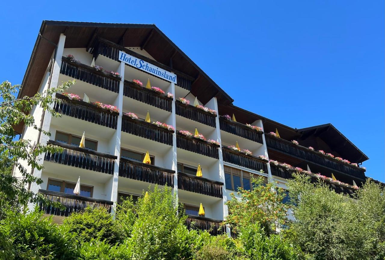 Hotel Schauinsland Бад Петерстал-Грисбах Екстериор снимка