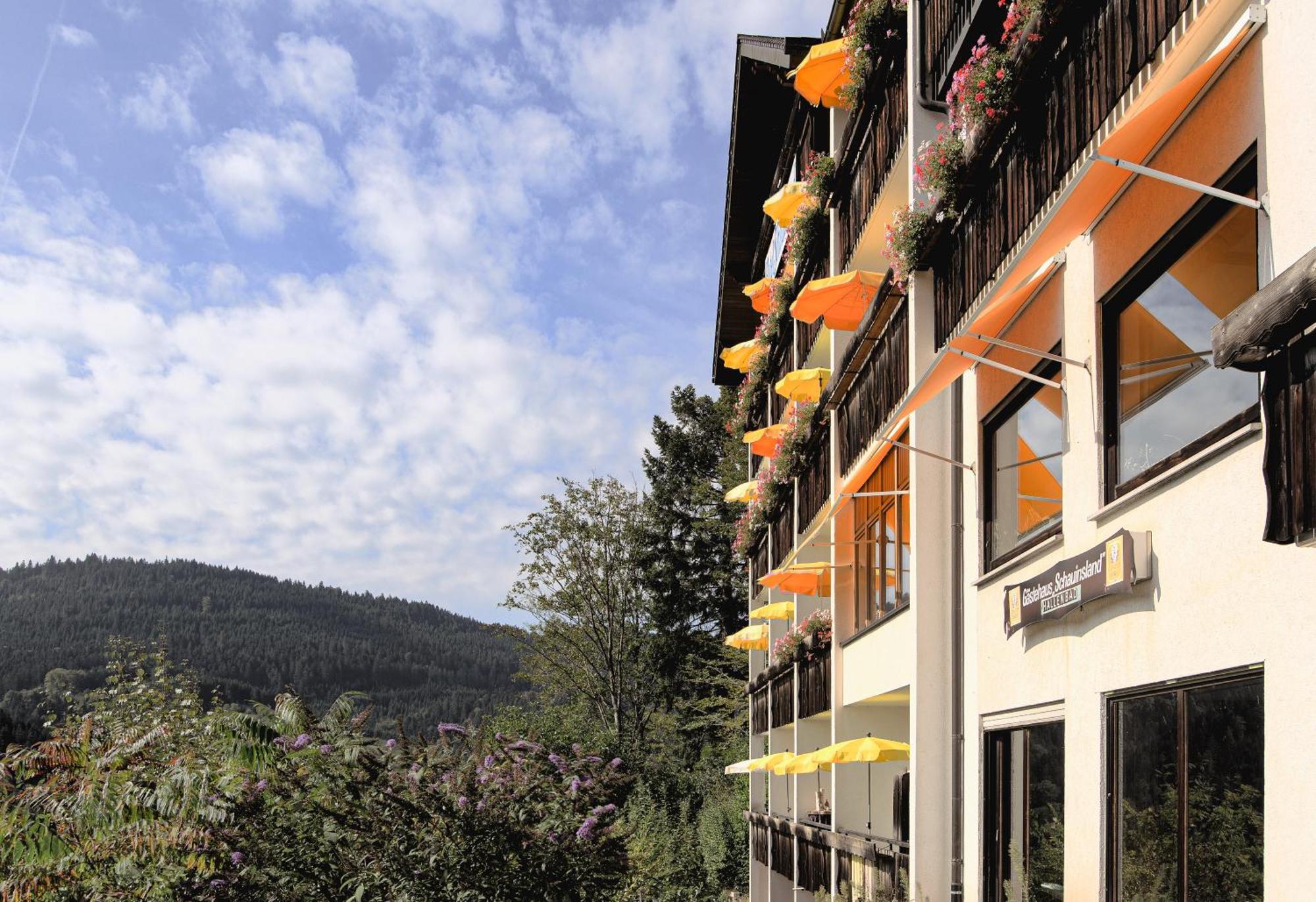 Hotel Schauinsland Бад Петерстал-Грисбах Екстериор снимка