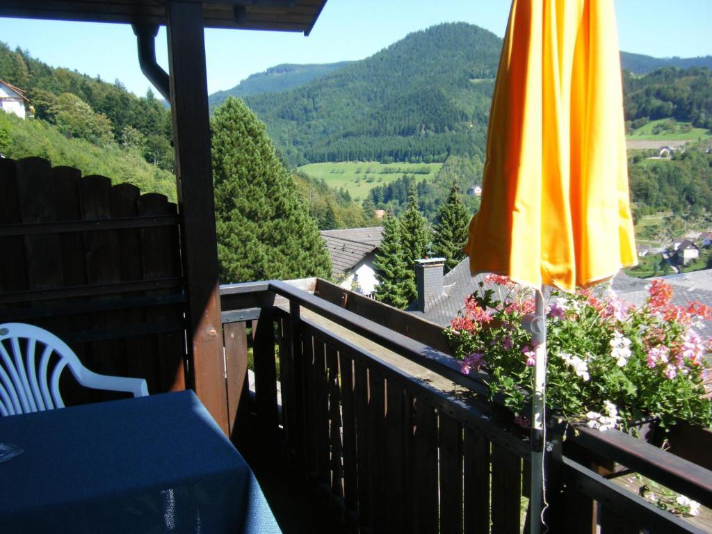 Hotel Schauinsland Бад Петерстал-Грисбах Стая снимка